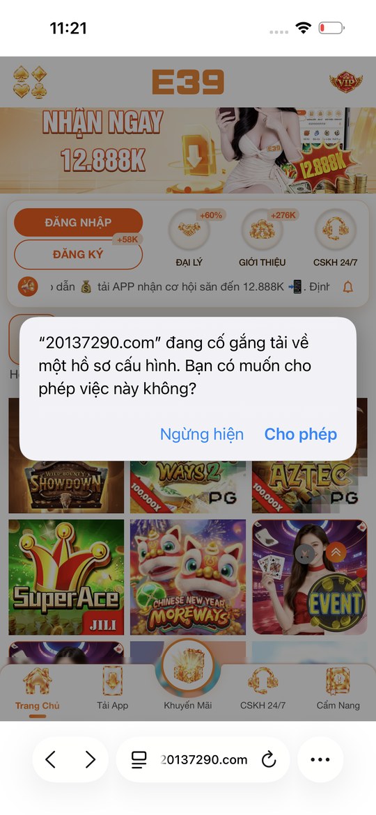 Hộp thoại Safari hỏi cho phép tải xuống, nút Cho phép được khoanh đỏ